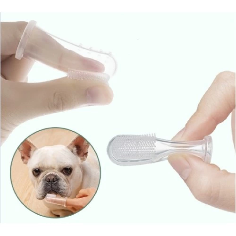 Diş Kaşıma Fırçası