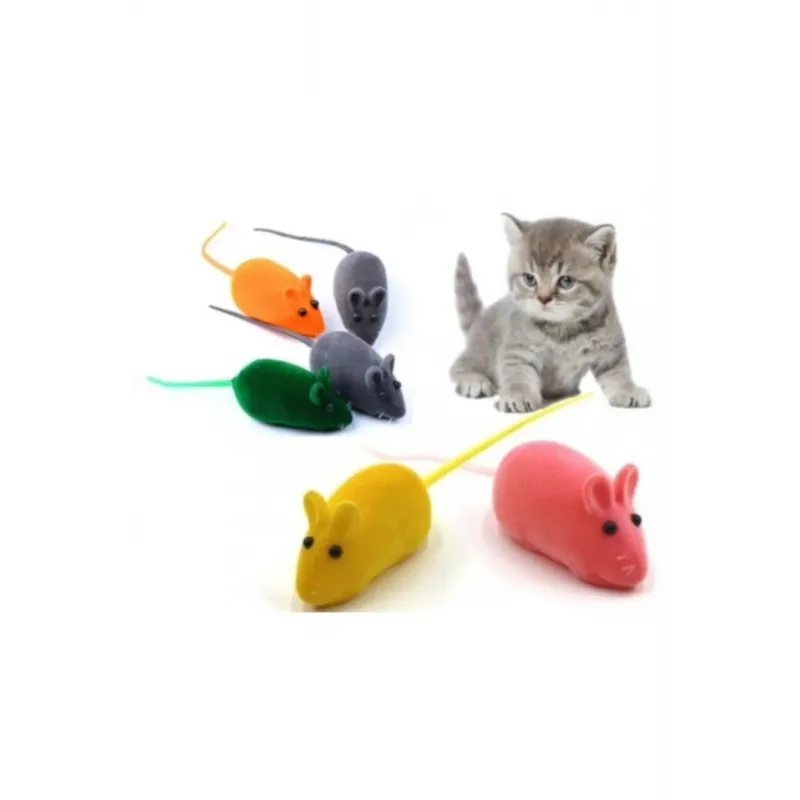 Kedi Eğitim Oyun Faresi