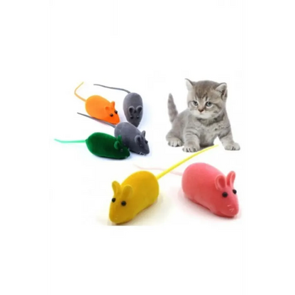 Kedi Eğitim Oyun Faresi