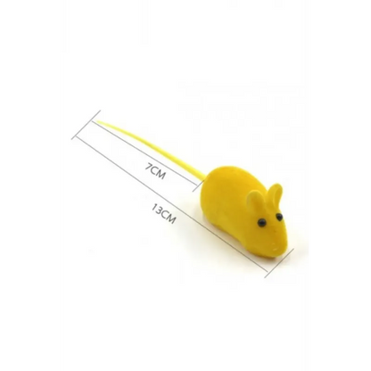 Kedi Eğitim Oyun Faresi