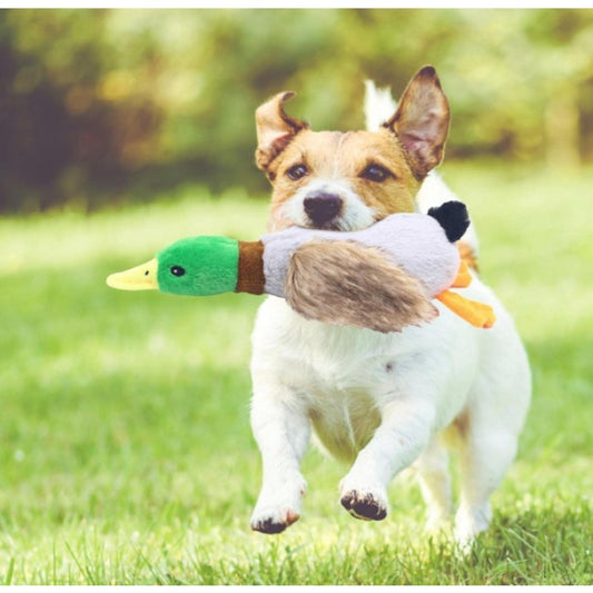 Ördek Şekilli Sesli Peluş